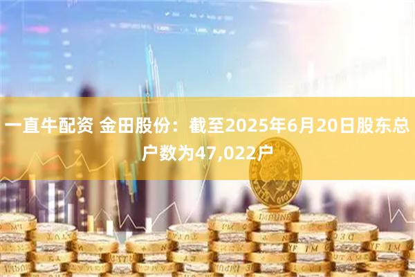 一直牛配资 金田股份:截至2025年6月20日股东总户数为47,022户