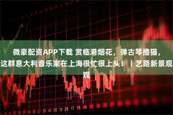 微豪配资APP下载 赏临港烟花,弹古琴撸猫,这群意大利音乐家在上海很忙很上头!丨艺路新景观