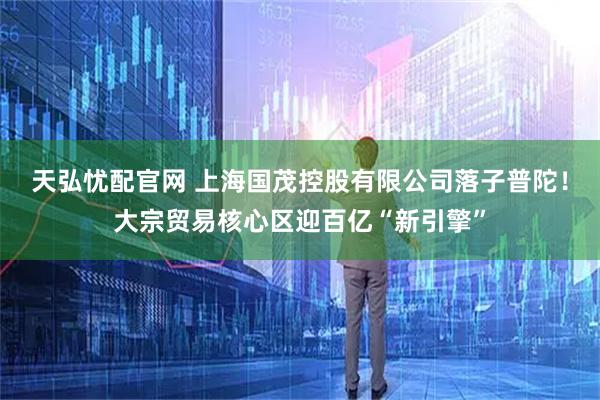 天弘忧配官网 上海国茂控股有限公司落子普陀！大宗贸易核心区迎百亿“新引擎”