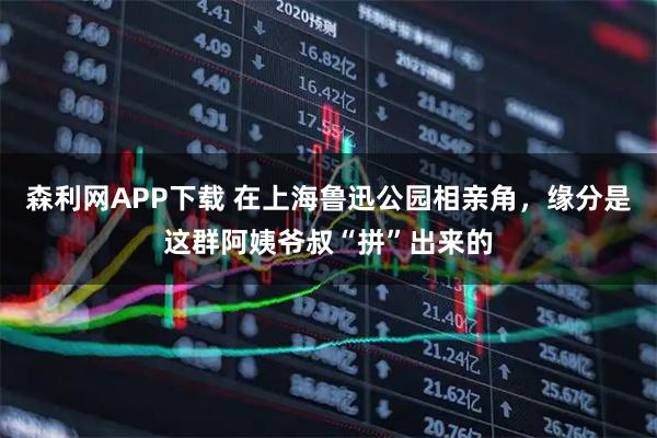 森利网APP下载 在上海鲁迅公园相亲角，缘分是这群阿姨爷叔“拼”出来的