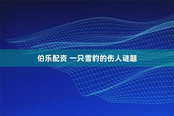 伯乐配资 一只雪豹的伤人谜题